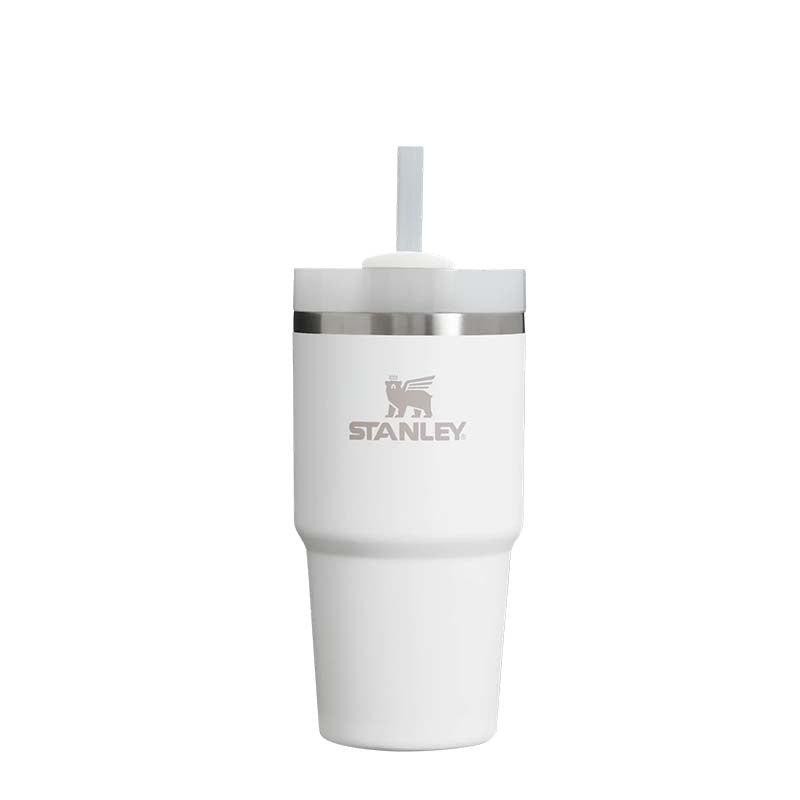 The 20oz Quencher H2.0 FlowState™ Tumbler in Frost