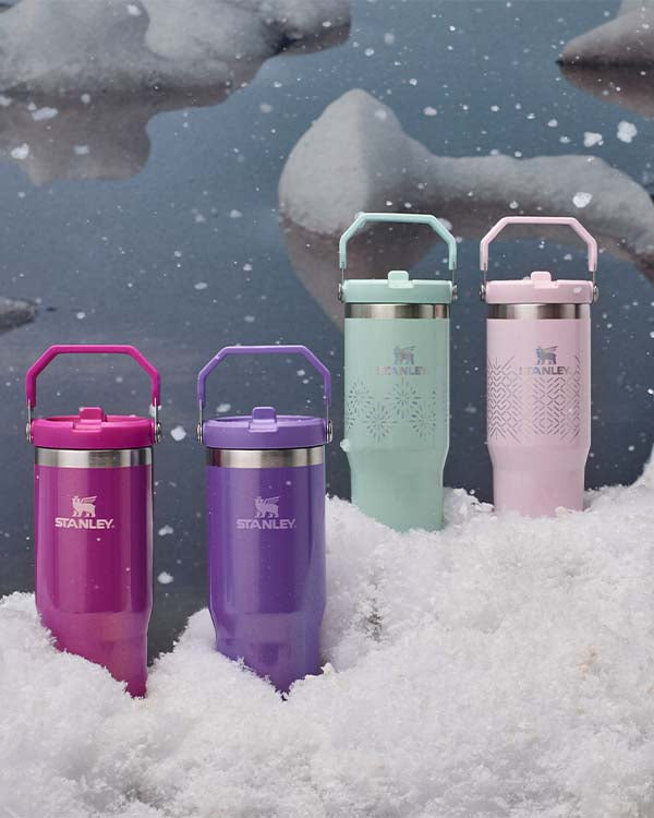 winter wonderland collection from stanley