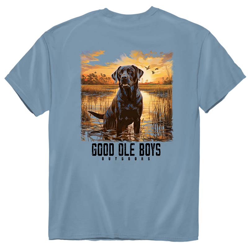 Chocolate Lab in Marsh Short Sleeve T-Shirt