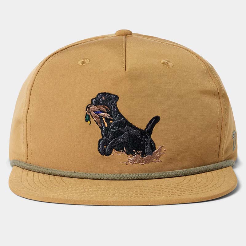 Lab Duck Snapback