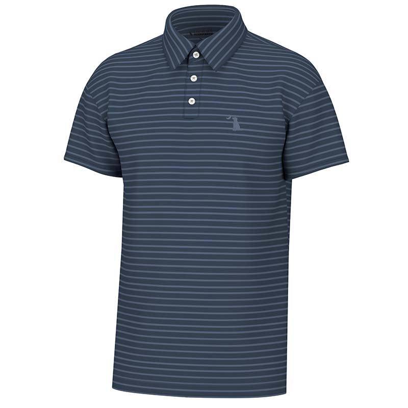 Edisto Stripe Polo