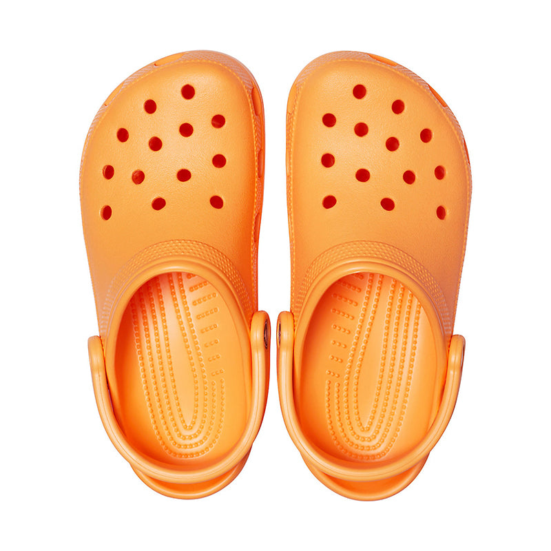 Adult Classic Clog in Orange top view