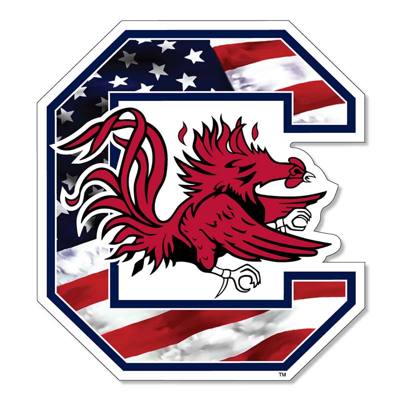 Block C USA Flag Decal