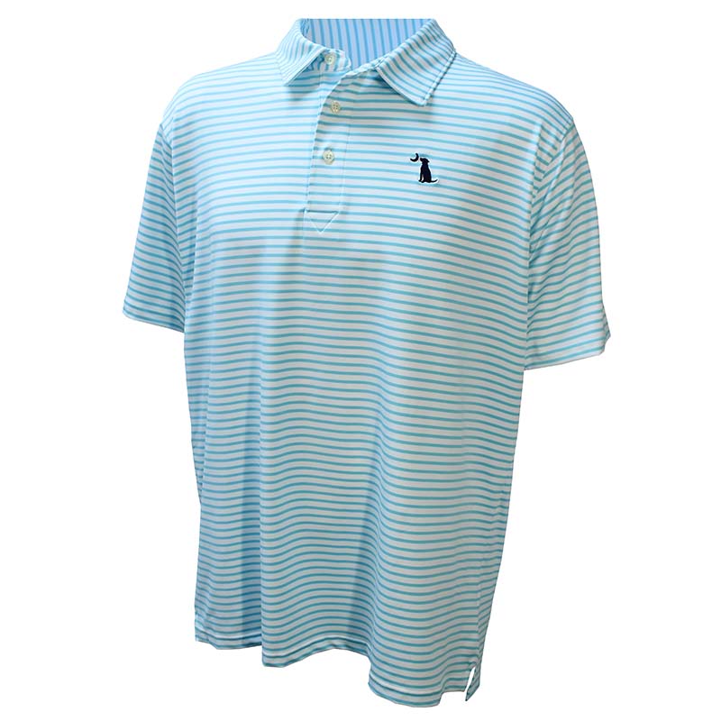 Edisto Stripe Polo