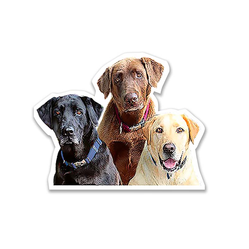 Lab Trio Sticker